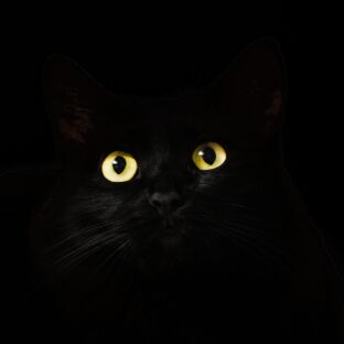 遠近感を狂わす！？　どこまでも黒い絵の具とは