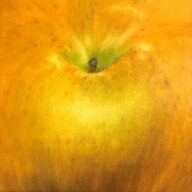 四角い青りんご