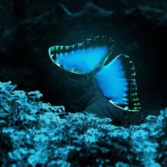 光る絵の具！？魔法のような蓄光画材について