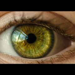 簡単に惹かれる絵に！？シネマスコープ風の絵作り