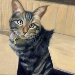 独学油絵　定番モチーフのねこを描く！