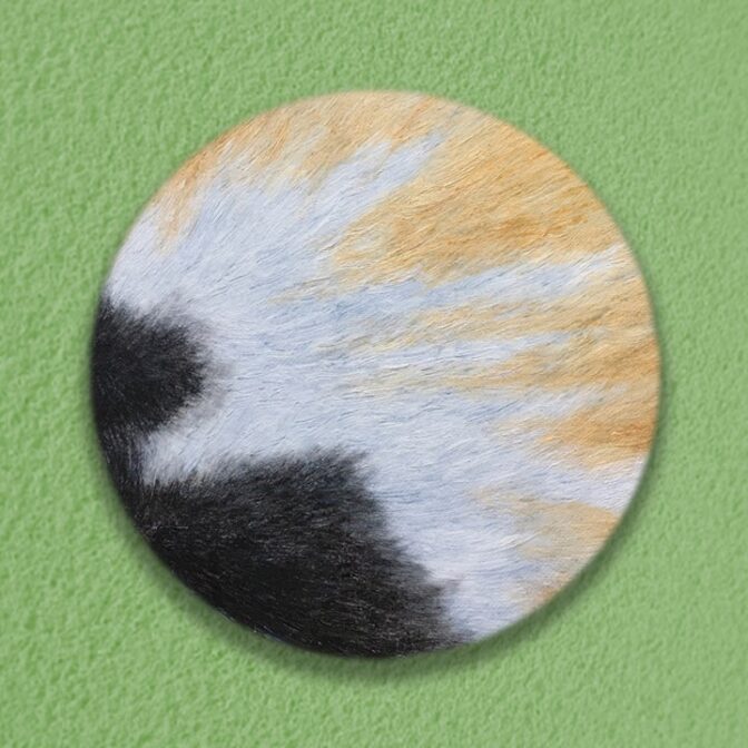 Calico cat 油絵 インテリア 猫 和風 毛並み